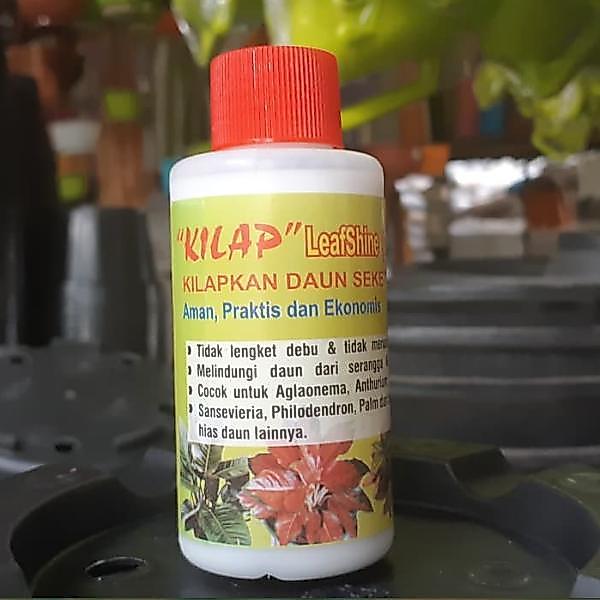 BISA COD Pengkilap Daun KILAP Leafshine 100 ml