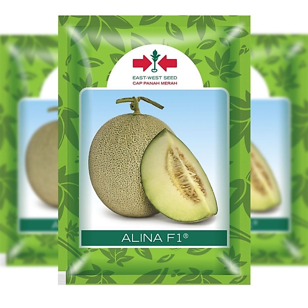 benih melon ALINA F1 1500 biji