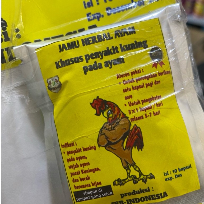 OBAT AYAM SAKIT KUNING JAMU HERBAL