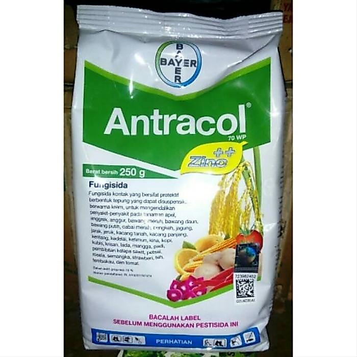 BISA COD fungisida, Cairan anti jamur tanaman, antracol 70 WP
