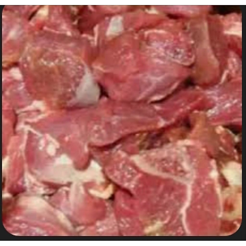 daging kambing 1 kg fresh daging kambing muda