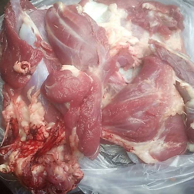 Daging Kambing Muda 1 kg