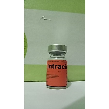 intracin  10s 5 ml
