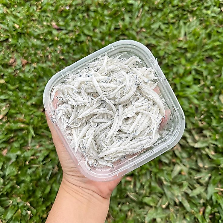 Teri Nasi Basah 250gr | Teri Nasi Basah MPASI