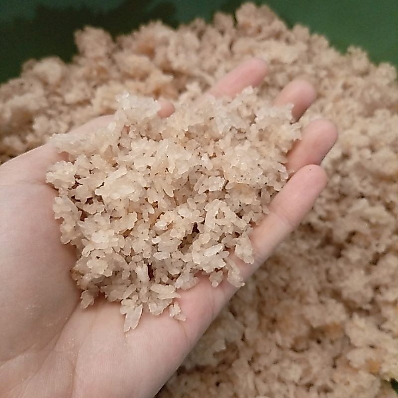 Nasi Aking kering/karak nasi 1 kg