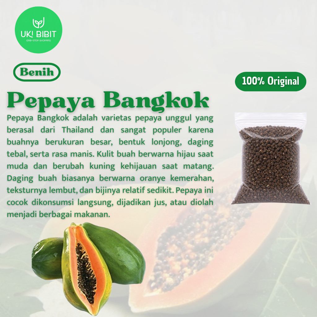 ( 10 Butir ) Benih Biji Pepaya Bangkok | Pepaya Thailand