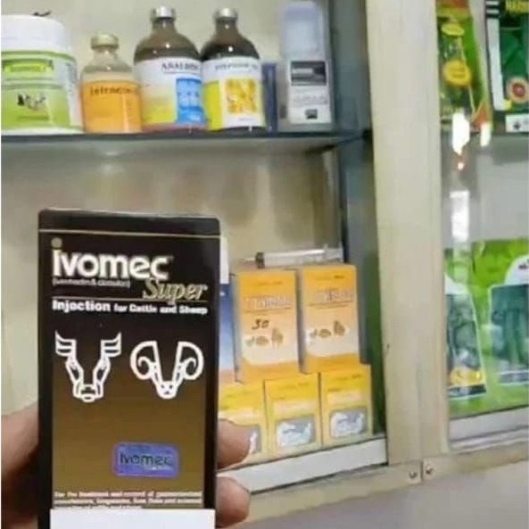 ivomec super 50 ml obat gatal dan gudig hewan ampuh