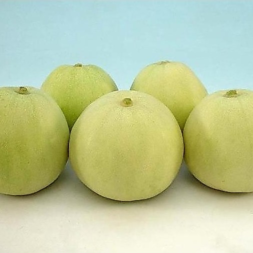 Benih Bibit Biji - Melon Apel Silver Light F1 Hybrid (Oriental Sweet)