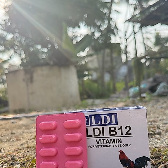 LDI B12 vitamin ayam 1 strip