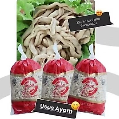 Usus Ayam Usus Ayam 1kg Beku