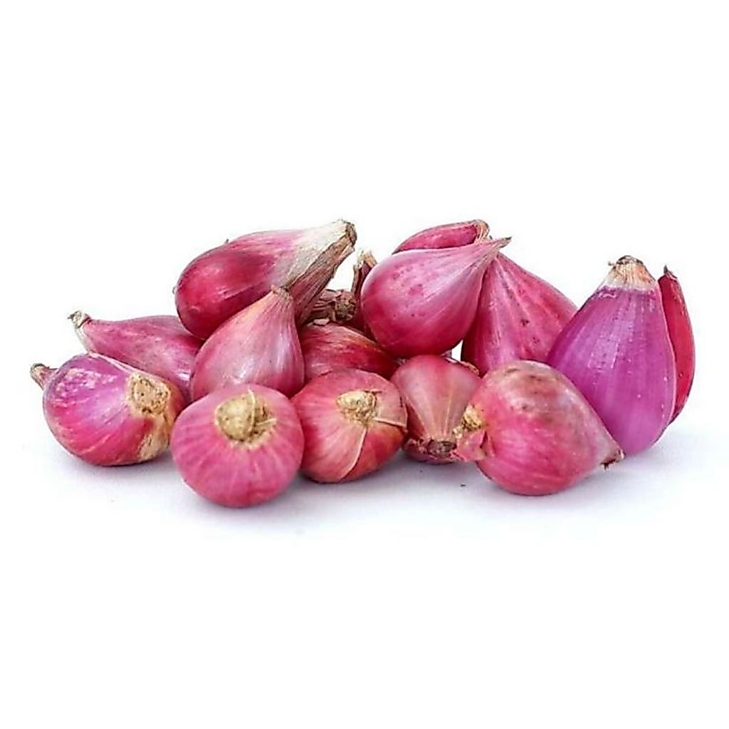 Benih / biji  bawang merah Lokananta  ( 150 butir)