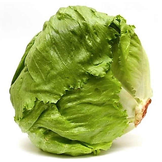 Lettuce Head lettuce ( selada bulat ) 250gr letus salada