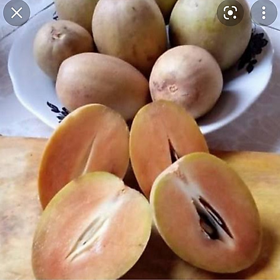 buah sawo madu 500gr sawo madu manis