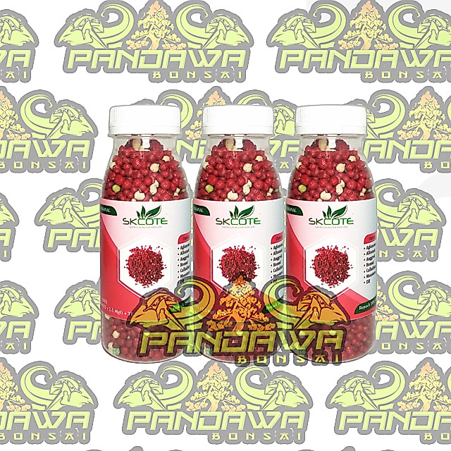 PANDAWA BONSAI-ALAT BONSAI Pupuk Bonsai dan Aglonema Slow Release sejenis Osmocote Dekastar 100 gram