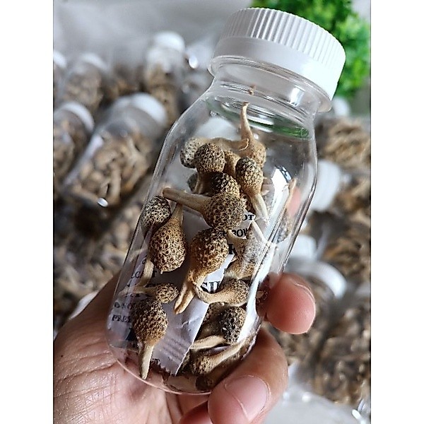 Mpot Putih Ori Madura isi 10gr Utuh