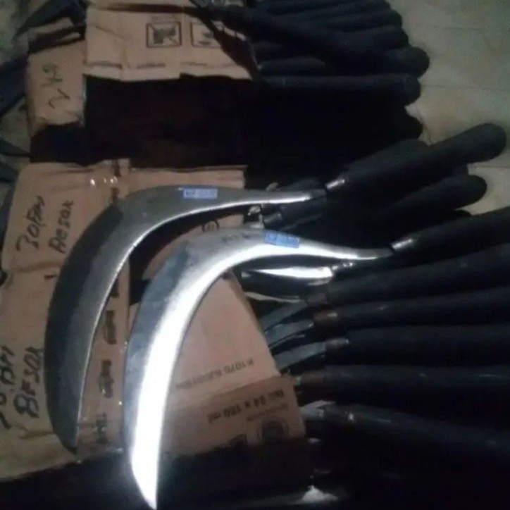 sabit rumput.baja per asli