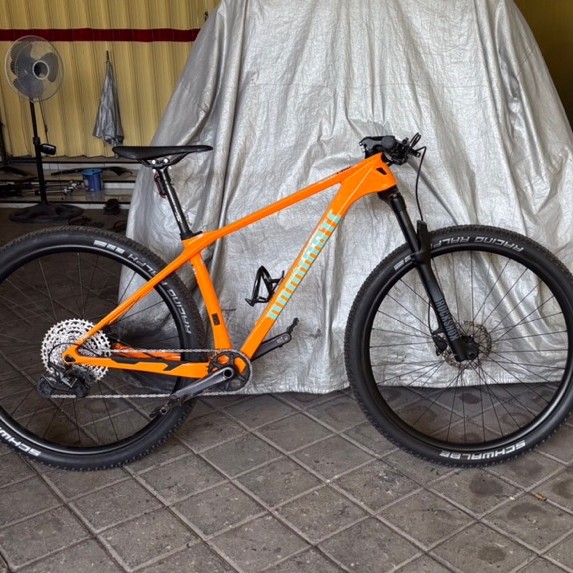 MTB Dominate Carbon CXC Comp R size M 2nd full upgrade