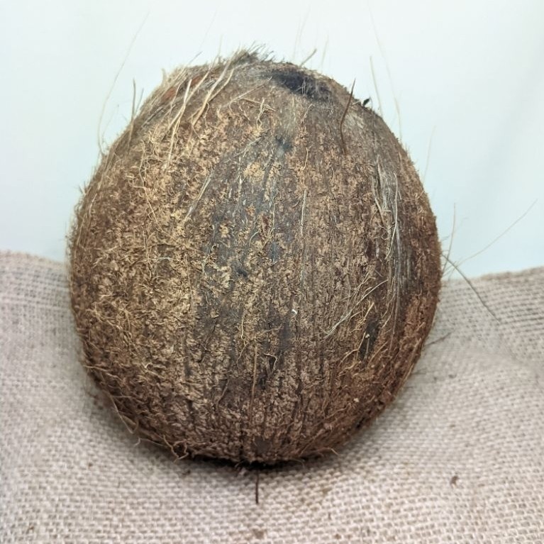 KELAPA TUA  SATUAN | KELAPA PARUT | SUDAH DI KUPAS SIAP PAKAI