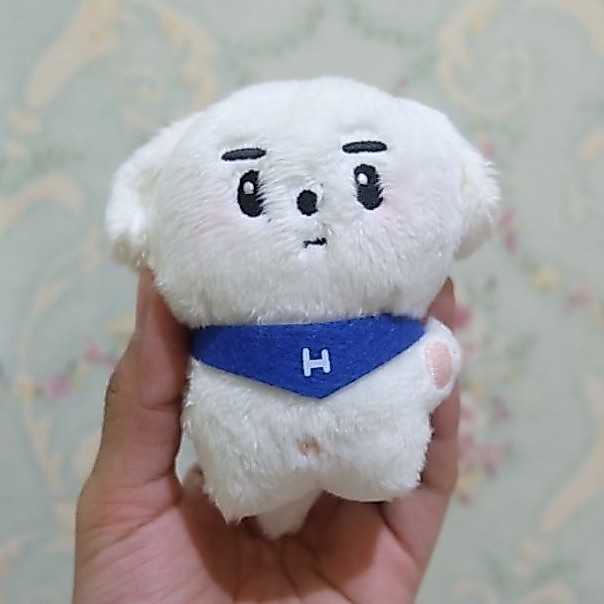 Park Hans (sunghoon doll)