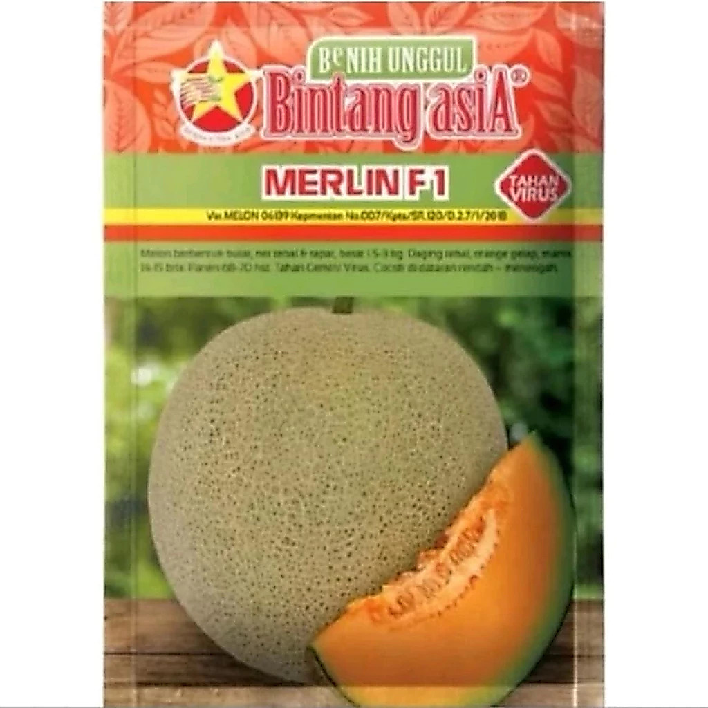 Benih Melon Merlin F1 20gr Cap Bintang Asia Bibit Melon Merlin ORIGINAL