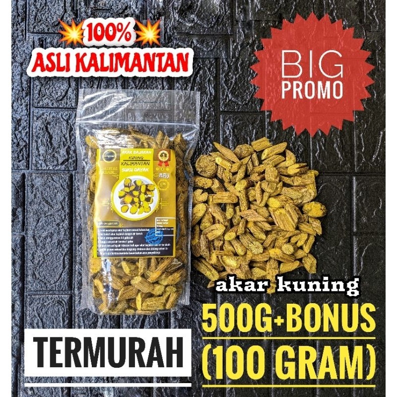 READY Akar Bajakah Kuning Asli Kalimantan (500gr) [BISA COD]