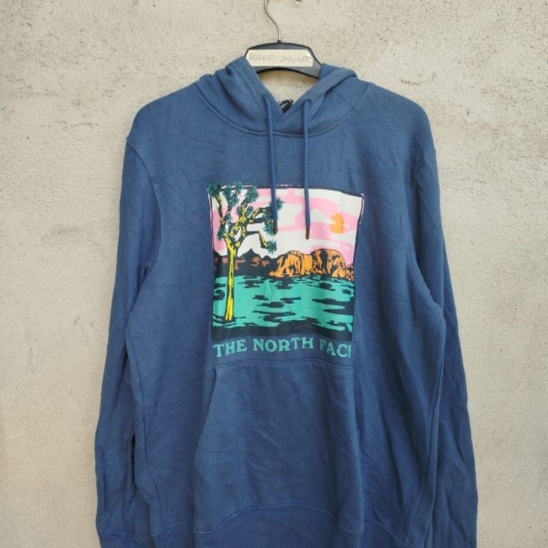 Hoodie TNF