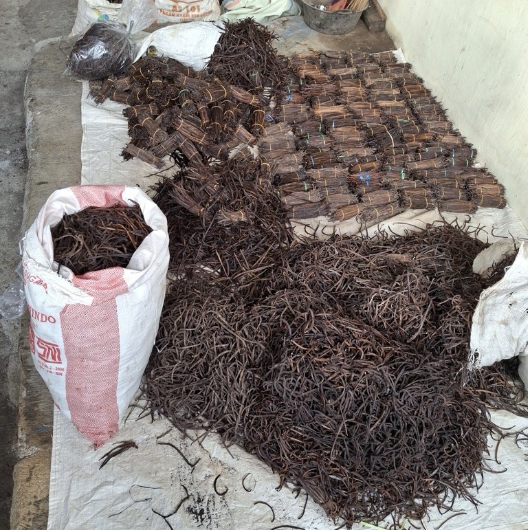 Vanili Kering / Vanilla Kering 100% Murni