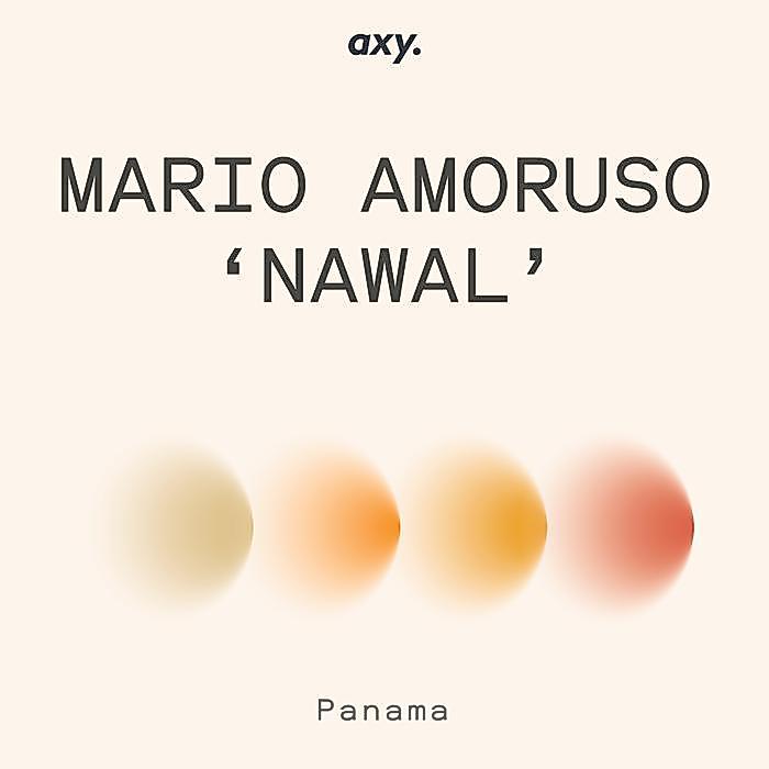 PANAMA MARIO AMORUSO NAWAL GEISHA WASHED - BIJI KOPI ARABIKA