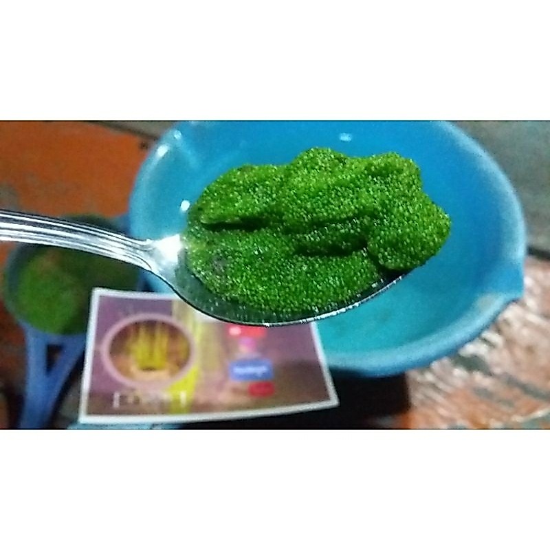 Bakulan Store || Bibit Tanaman Air Aquascape Wolfia 50 Gram ( 10 Gratis 2 ) Pakan Alternatif Alami