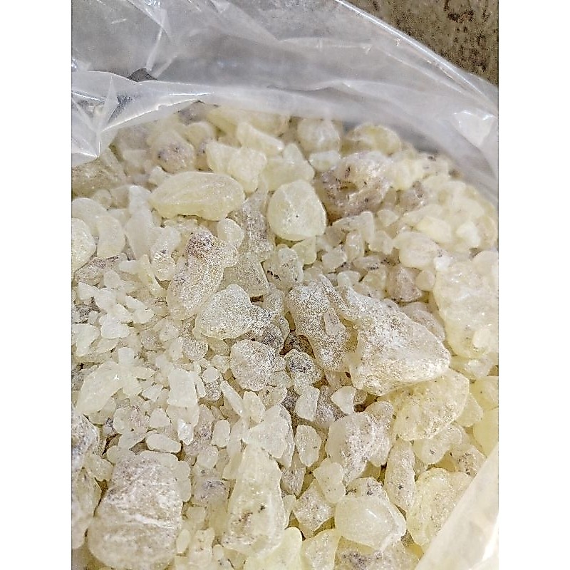 DAMAR MATA KUCING/ DAMAR RESIN/ getah damar mata kucing