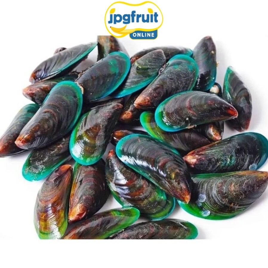 KERANG HIJAU 1KG