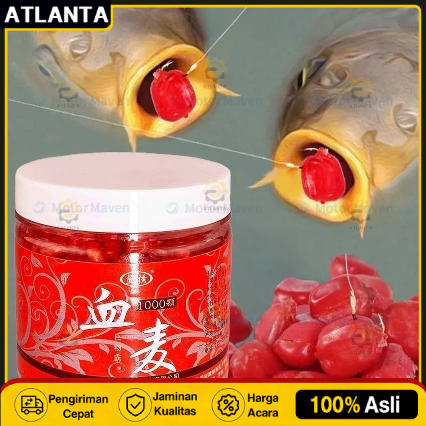 1000Pcs Umpan Pancing Pelet Ikan Cacing Merah Memiliki Aroma Menarik Mangsa Ikan / Umpan Pelet Cacin