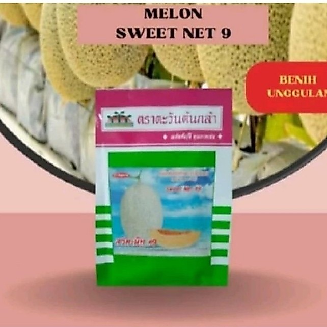 10 Biji Melon Sweet Net 9 F1 Original