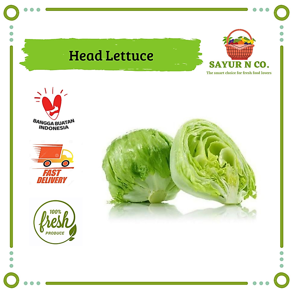 Selada Iceberg / Head Lettuce / Selada Kebab / Iceberg Lettuce | Sayur N Co Bekasi