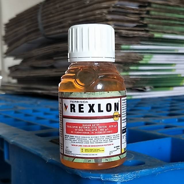 Rexlon 670ec 100ml