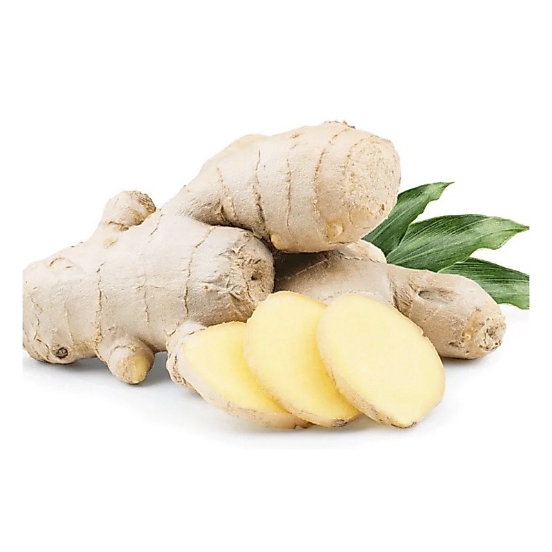 jahe gajah/1kg/jahe gajah super/jahe kebo super