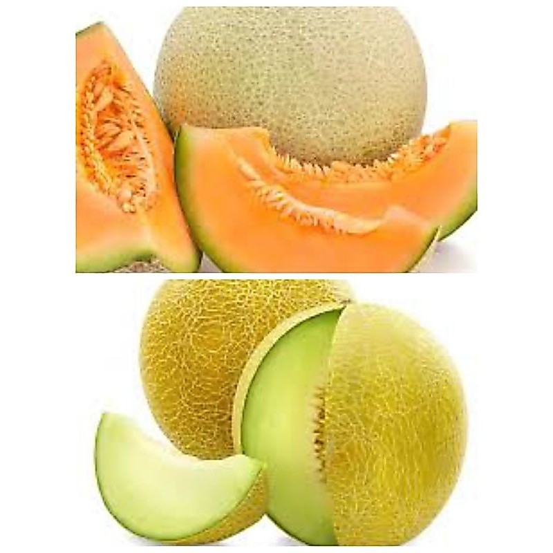 Buah melon, melon kuning