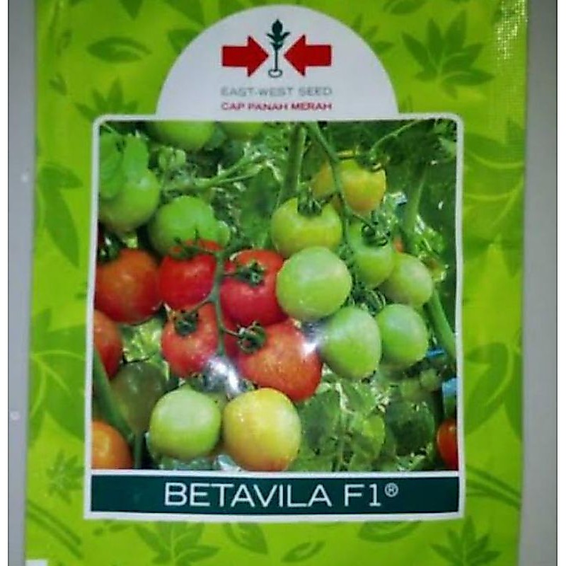 benih tomat BETAVILA F1 isi 1750