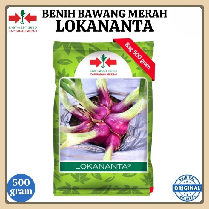 Benih Bawang Merah LOKANANTA 500 Gram - Bibit Cap Panah Merah 500 Gr
