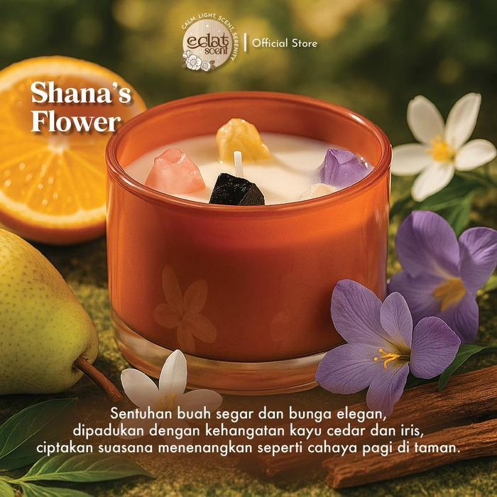 Eclat Candles Fresh Floral Woody Aromatherapy Candle Lilin Kedelai Estetik Cup Kaca Kecil Colorful M