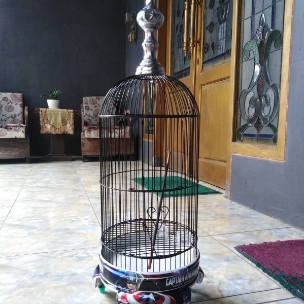 Sangkar Helopet Pleci Decal Motif Glossy PVC