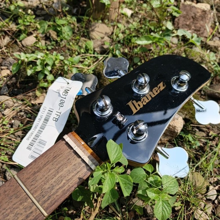 Neck Bass Ibanez TALMAN TMB-100