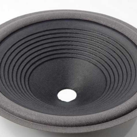 Daun conus kertas speaker woofer wofer 10 inch lbg kecil Canon