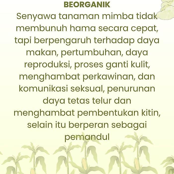 Beorganik Pembasmi Hama Tanaman, Organik, Pestisida, Ulat, Kutu Putih, Hama Daun, Semut, Anaman