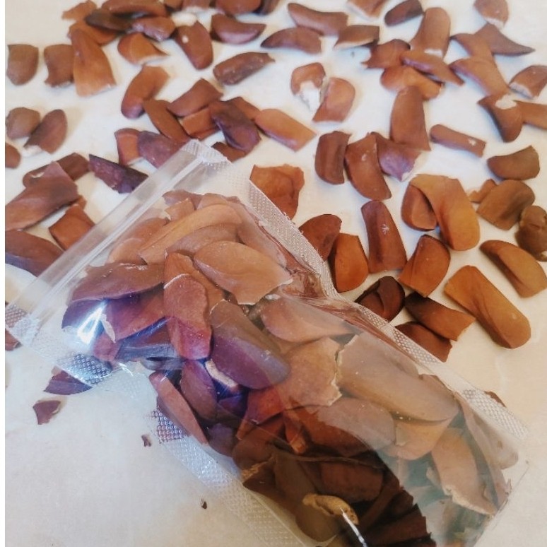 BUAH BIJI MAHONI PREMIUM 50gr(isi100biji) BUAH BIJI MAHONI