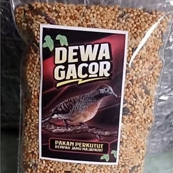 PAKAN PERKUTUT DEWA GACOR PAKAN PERKUTUT GACOR PAKAN PERKUTUT JAHAT PAKAN PERKUTUT GACOR MANGGUNG