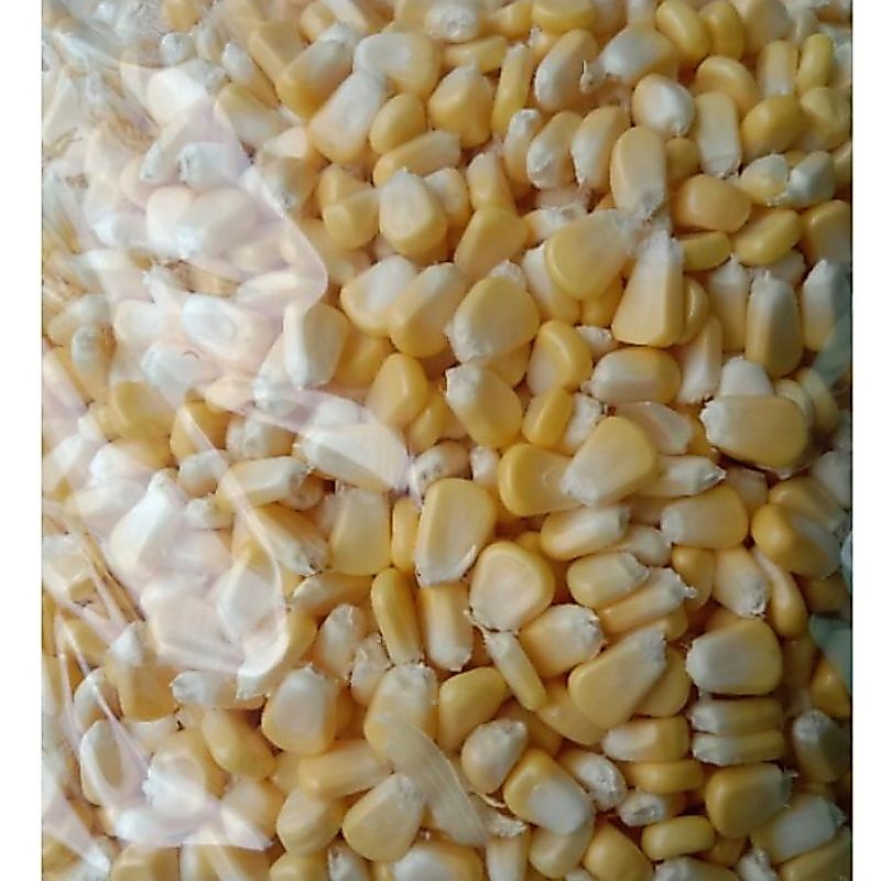 JAGUNG PIPIL MANIS 1kg / Jagung pipil.