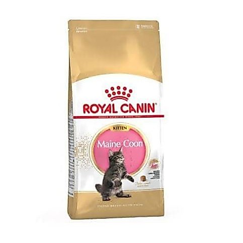 Royal Canin Kitten Mainecoon Maine Coon 400Gr/Makanan Anak Kucing Besar