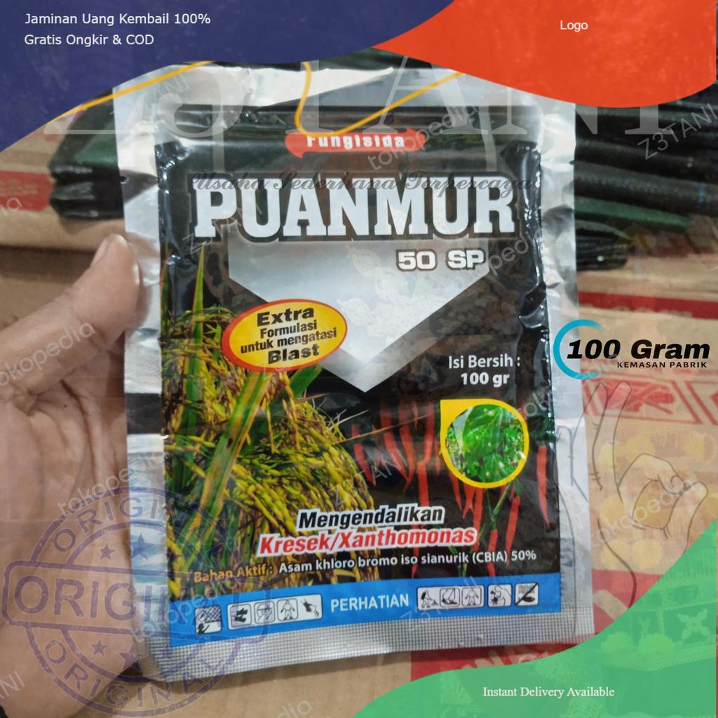 Fungisida PUANMUR 50sp 100gram