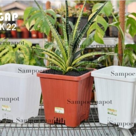 POT BUNGA TANAMAN TINGGI YOGAP KOTAK 22 PUTIH - YOGAP YPK 22 PUTIH